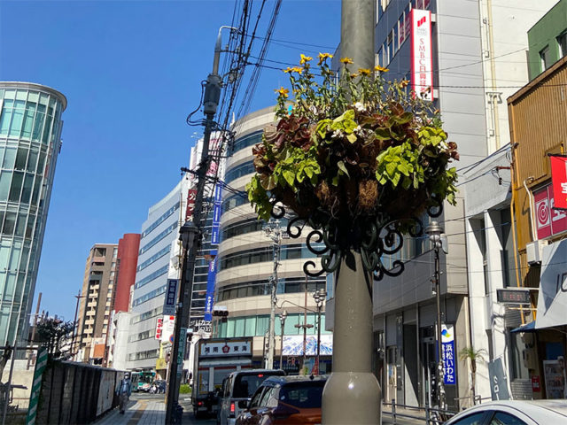 松菱通り商店街(振)